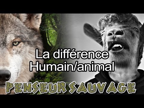 C'est quoi être Humain ? | La différence Homme/Animal - [Animaux CH.2 EP.07]