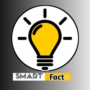 Useful tool | smart fact