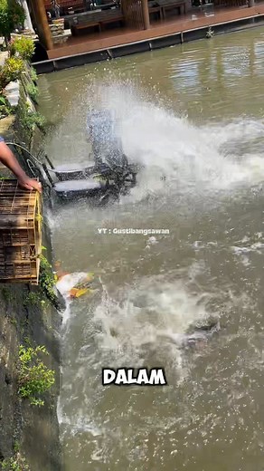 204K views · 1.7K reactions | Tebar ratusan kilo ikan mas ‼️ #reel #fishing #ikan #mancingmania #mancingikan #mancingliar #fish | Gusti Bangsawan | Facebook
