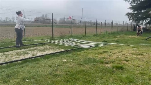 Stormborn EDEN!! ♥️♥️♥️ | Stormborn & O.G. Blood Kennel - Allevamento & Addestramento