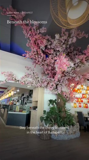 We’d love to welcome you to our restaurant and look forward to having you dine with us! We hope you have a wonderful dining experience.#sushi #budapest #budapestfood #budapestguide #budapestpark