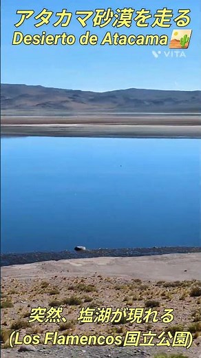 アタカマ砂漠を走る Desierto de Atacama#アルゼンチン #チリ
