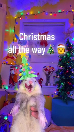 Embrace the Christmas Spirit with Heartwarming Traditions
