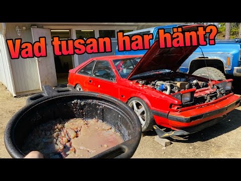 Nissan bjuder på hemmagjord gelepudding! + grävning av amatör