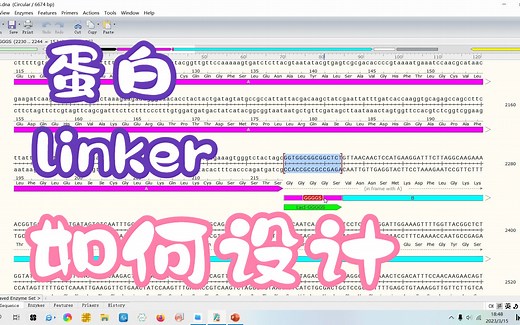 蛋白linker的种类有哪些？