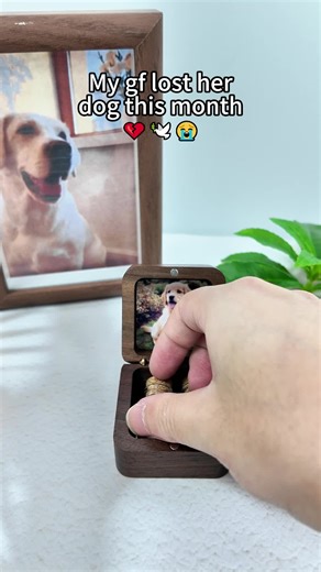 Link in my channel#dog #pets #gift #doglife #dogvideos #dogshorts #giftideas #doglove