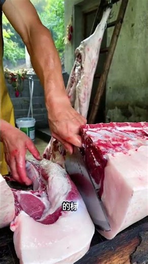 刀落肉成#科普 #百科密码#funny