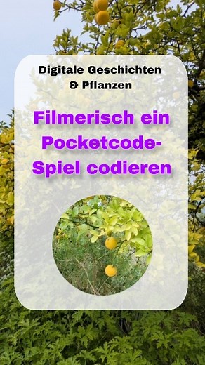 Im Oktober fand erneut unser Kurs "Filmerisch ein Pocketcode-Spiel...