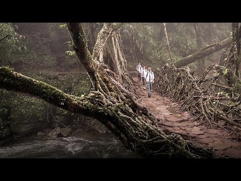 How to build a resilient future using ancient wisdom