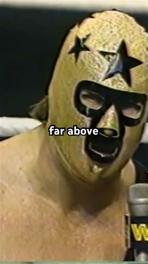 The always eloquent MASKED SUPERSTAR #wwf #wrestling