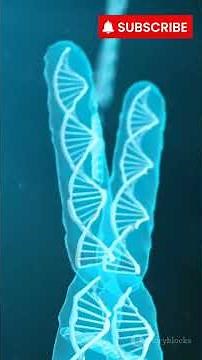 What is DNA methylation? #biology #science #dna