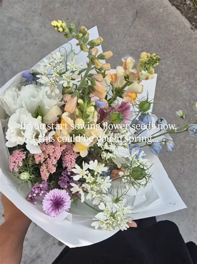 I have a series on how to grow your own cut flower garden, from choosing and starting seeds to planting 🌸🌱 #cutflowers #gardening #garden