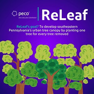 Its #WorldSustainabilityDay! #ReLeaf is a program from PECO centered around the company’s increased investment and support of tree planting and education across the Greater Philadelphia region. | PECO