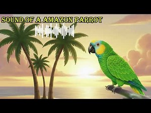 SOUND OF A AMAZON PARROT 🔊 What does a amazon parrot sound