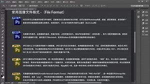 1.4 常用文件格式的简单理解1