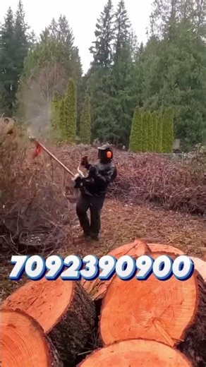 Multipurpose Sidepack Backpack Brush Cutter | Small machine for big jobs - weeding, mowing!