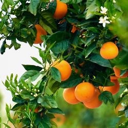 About Us - JMB Group