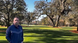 PGA Tour: Iconic oak tree on TPC Sawgrass, Players Stadium Course No. 6, back via transplant