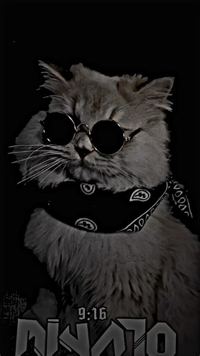 Best video🗿#fyp #alightmotion #smooth #edit