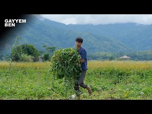 [FULL VIDEO] My daily life of harvesting and cooking various vegetables and fruits around me