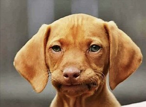 16 Relatable Memes About Working Holiday Retail