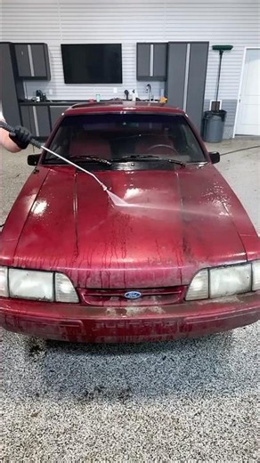 Reviving an Old Mustang!
