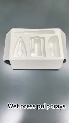 Custom Biodegradable Dissolving Pulp Mold Paper Packaging White Wet Press Moulded Pulp Insert Cosmetic packaging inner tray