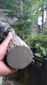 431K views · 6.2K reactions | Vas Bunga Motif Kayu Dari Ram Bekas Parabola Dan Semen | Irfan Zindi Utami | Facebook