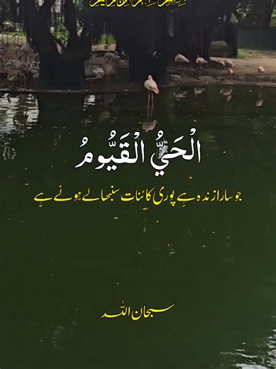 #آیت_الکرسی #سبحان_الله_وبحمده_سبحان_الله_العظيم