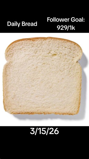 Daily Bread!🍞🍞🍞 #bread #breadwinner | bread