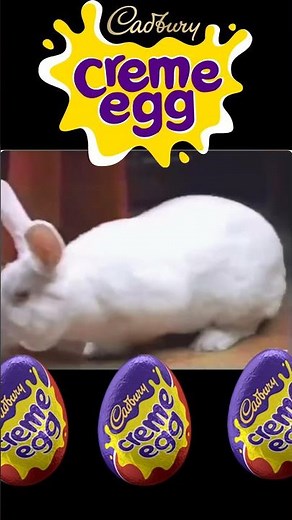 Cadbury Easter Egg Bunny Tryout Commercial