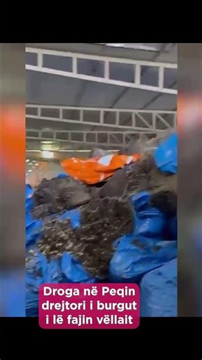 Droga në Peqin, drejtori i burgut i lë fajin vëllait