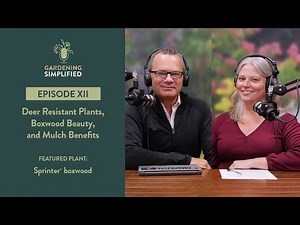 Deer Resistant Plants - Boxwood Beauty - Mulch Benefits | Gardening Simplified Radio Show | Ep. 12