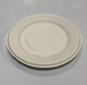 [Hot Item] Biodegradable Compartment Tableware Paper Pulp Tray Sugar Cane Sugarcane Bagasse Plate