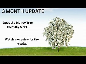 Money Tree EA 90 day review