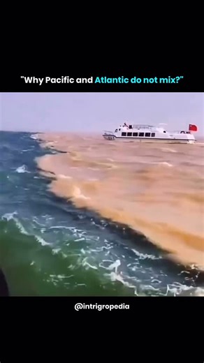 Sharp Minds Only on Instagram: "#Watch “The Two Oceans That Never Mix?” Nature’s Hidden Border Explained! Ever seen two oceans meet but never mix? What you’re looking at isn’t CGI - it’s real, it’s science, and it’s absolutely mind-blowing! At a place near the Gulf of Alaska, you can witness a rare natural phenomenon - two massive bodies of water meet, yet don’t blend easily. The reason? Differences in salinity, temperature, and density The Pacific Ocean and the Atlantic Ocean have distinct char