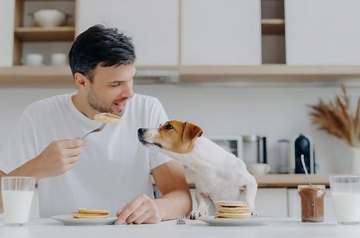 Dunia Hewan: Anjing Mencintai Manusia Lebih dari Sekedar Makanan - National Geographic