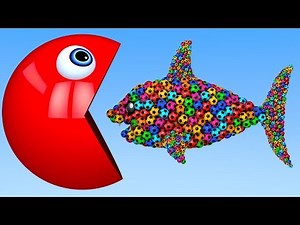 Learn Colors with PACMAN and 3D Soccer Ball Shark Shape for Kid Children