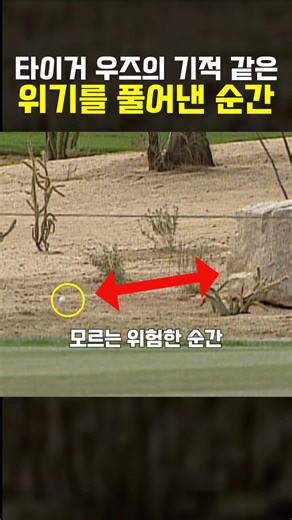 타이거 우즈의 기적같은 문제해결능력
