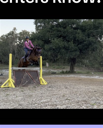 Eventers can definitely go anywhere they want to go on the RIGHT HORSE! #horsesoftiktok #horses #horsetok #eventersoftiktok #eventersontiktok #eventersdoitbetter #arabianhorsesoftiktok #eventhorse #arabianhorses #sporthorses #horsesontiktok #hunterjumper #showjumper #arabianeventhorse