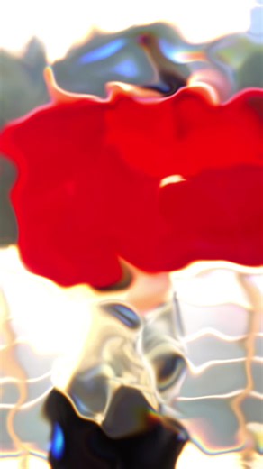 iPhone 11 Price Offer in Jashore