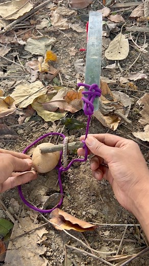 231K views · 734 reactions | Super Powerful Rope Loops With Trap Mechanism | Master Of Knots | Facebook