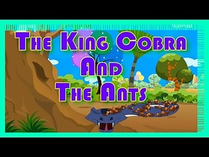 The King Cobra And The Ants - Animated Short Story For Kids