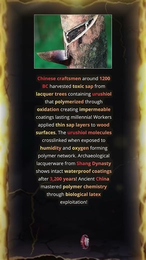 Ancient Lacquerware Shows Intact Waterproof Coatings