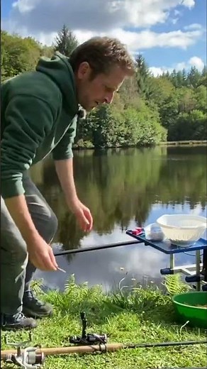 Fishing explained: all about the lines! #shorts