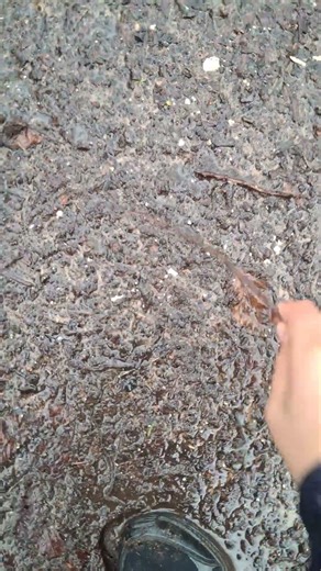 Some unused scenery for A Cookie Clicker Movie part 4