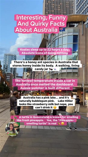 Interesting, Funny and Quirky Facts Facts About Australia 🇦🇺 | Rosalie Labrador Munro