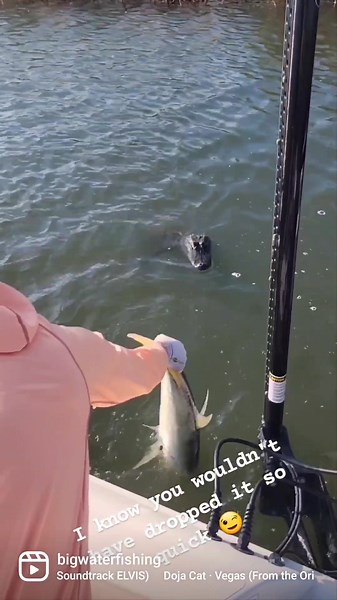 4.4M views · 81K reactions | How long would you have held on when the gator was creeping | Bigwater Fishing | Facebook
