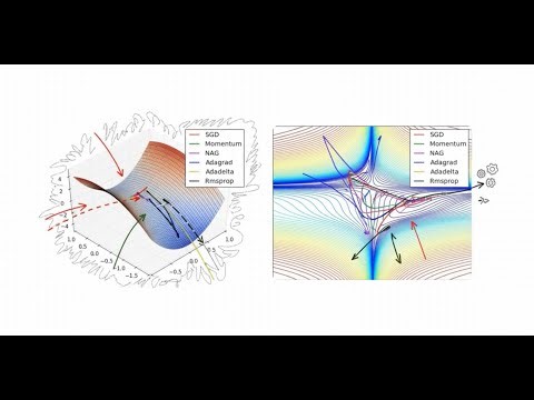 All Machine learning optimizers - ADAM,ADAgrad, Momentum, SGD applications for LLM in 9 minutes