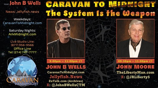 The System Is the Weapon - John B Wells LIVE